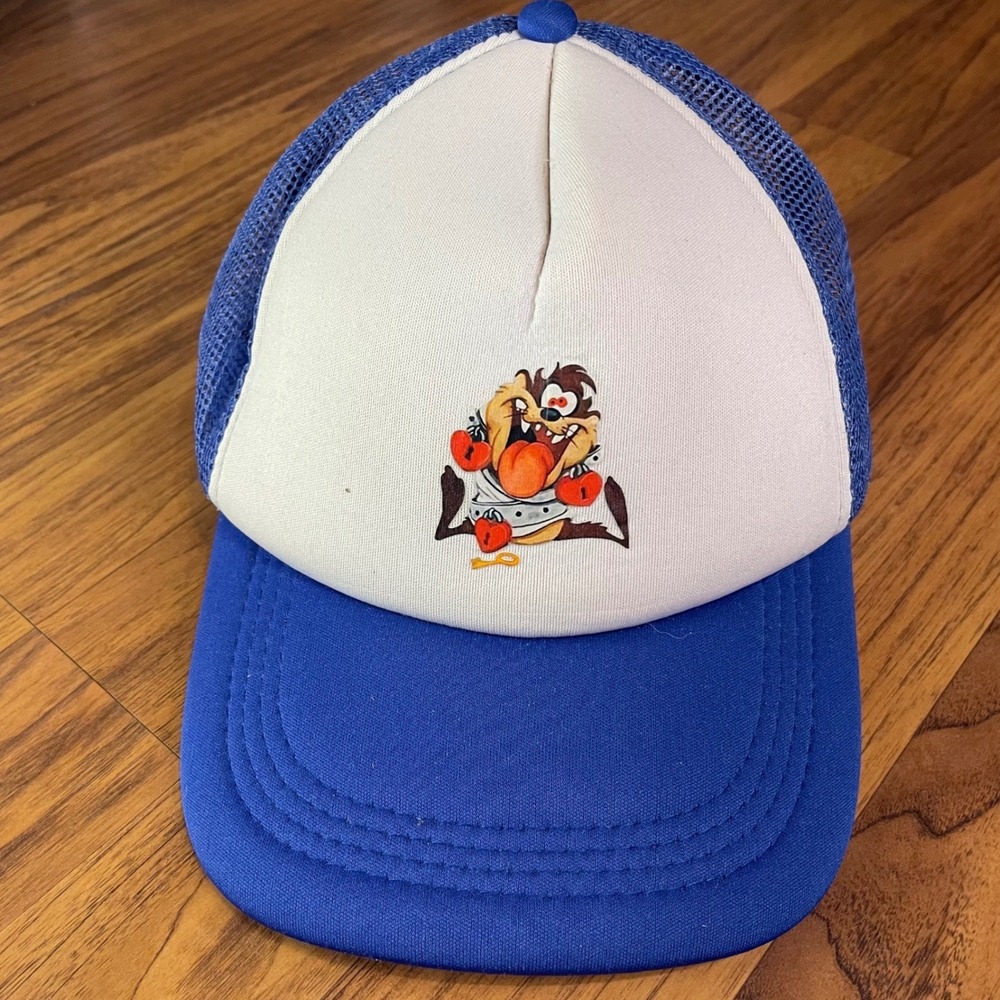 Vintage Looney Tunes Tasmanian Devil Taz Trucker Hat Blue White Mesh Snapback